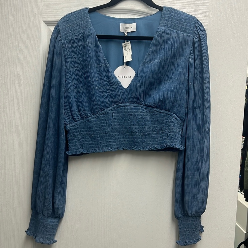 Storia Blue and Silver Crinkle Long Sleeve Crop Top, Size L NWT NEVER WORN